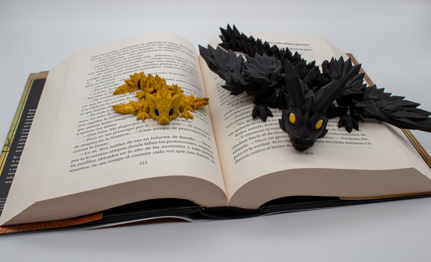 Dragones Empíreo: Tairn y Andarna