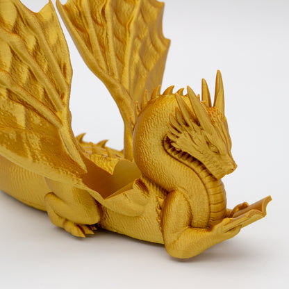 Dragón sujeta libros