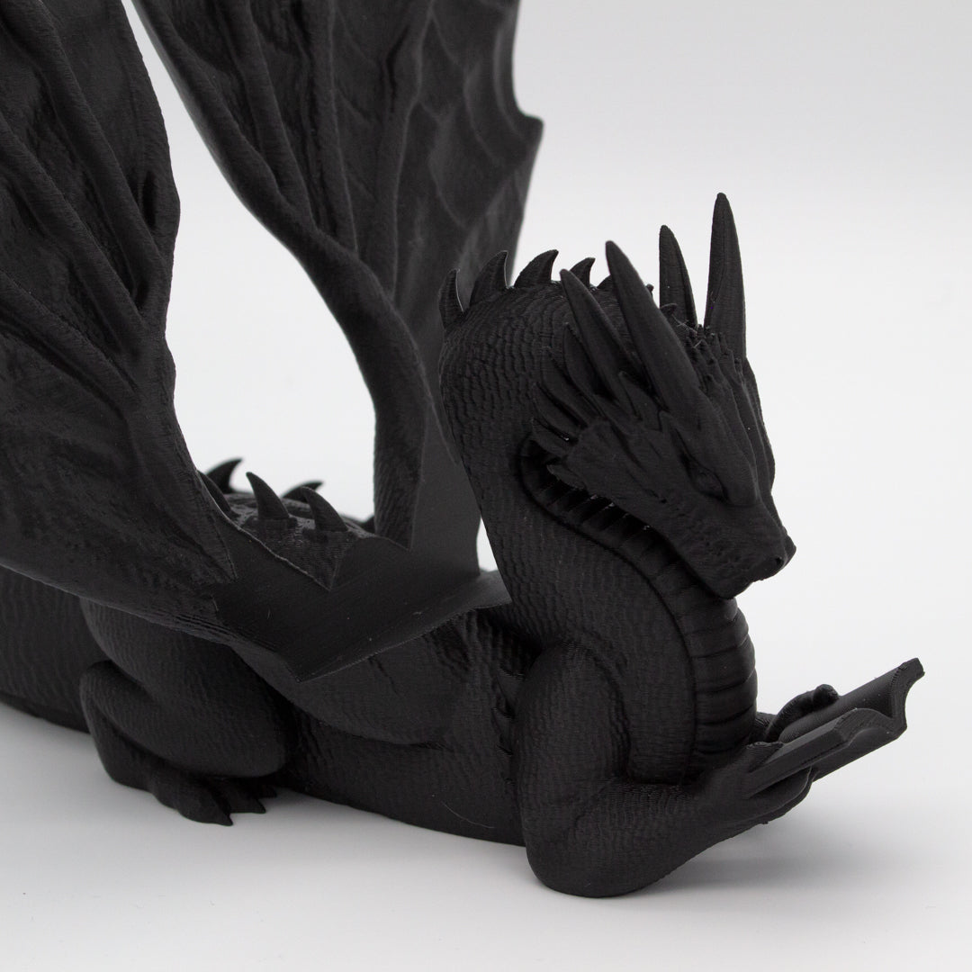 Dragón sujeta libros