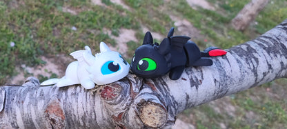 Furia Nocturna y Diurna