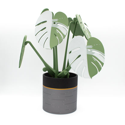 Monstera Posavasos
