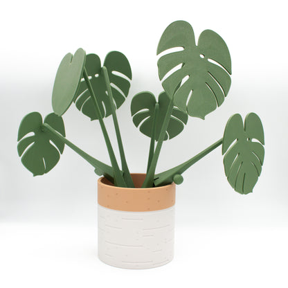 Monstera Posavasos