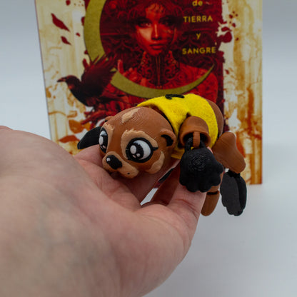 Nutria mensajera Ciudad Medialuna