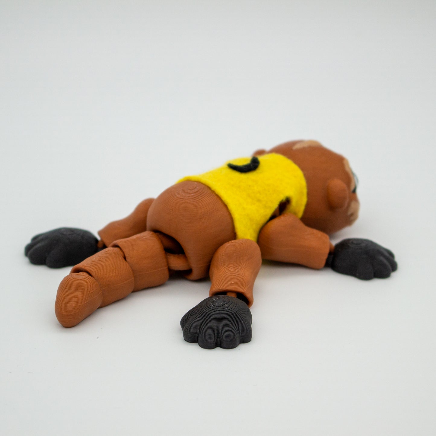 Nutria mensajera Ciudad Medialuna