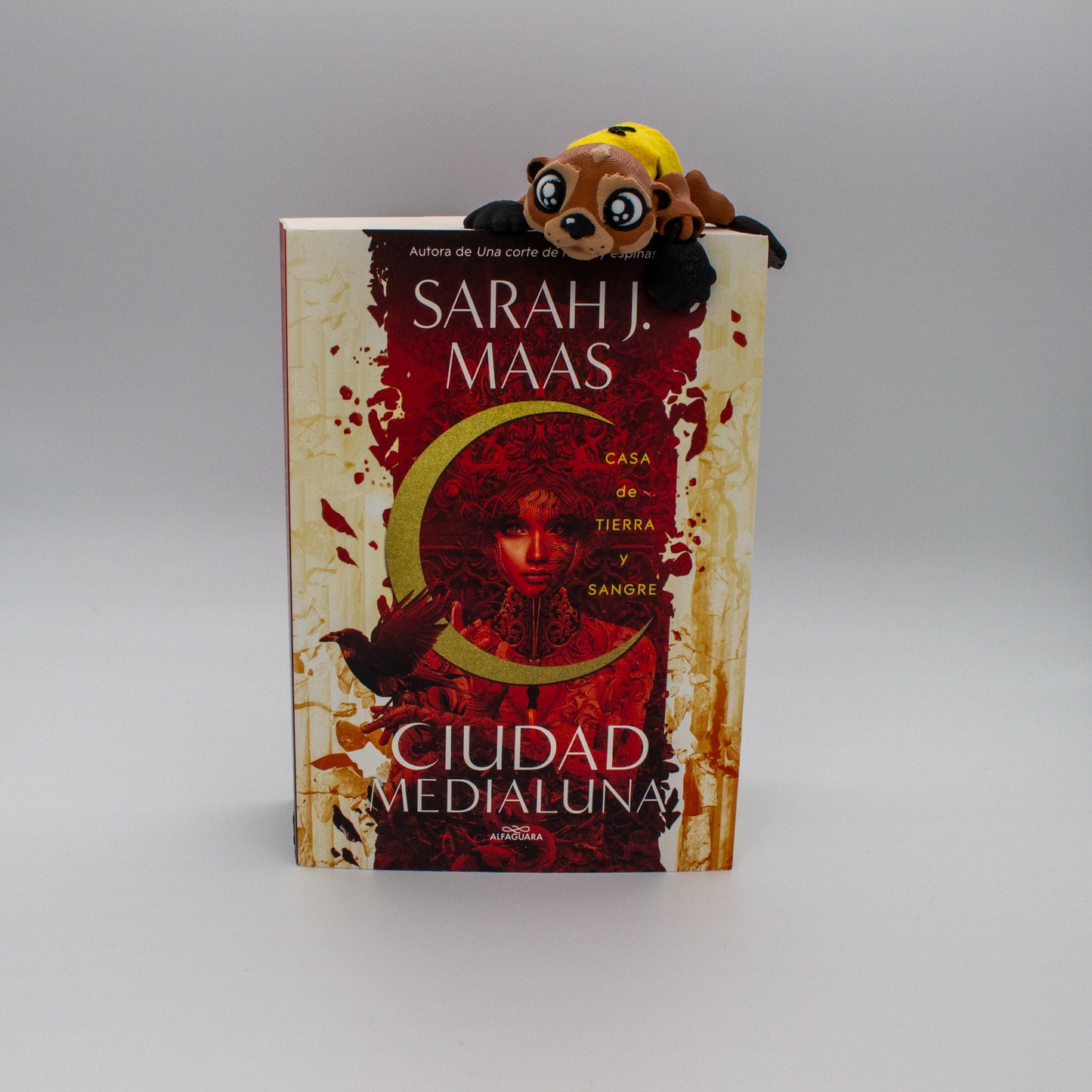 Nutria mensajera Ciudad Medialuna